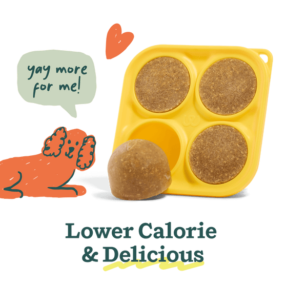 Woof Pupsicle Treat Mix Balanced Belly Lickable Dog Treats