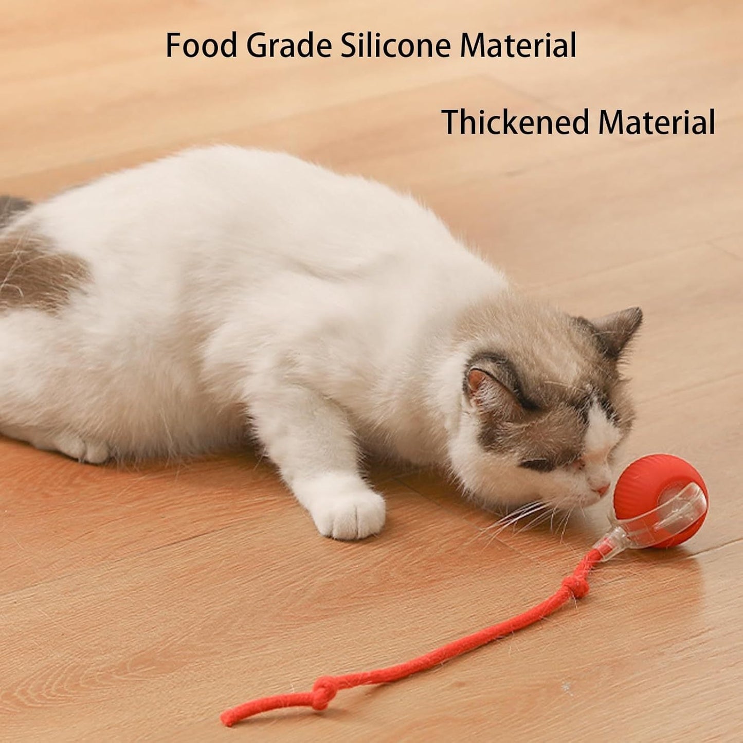 Interactive Rolling Pet Ball