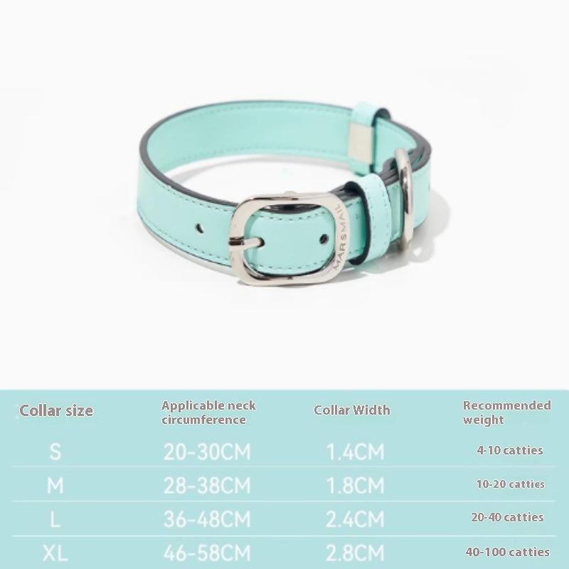 Buy colorful leather pet collar