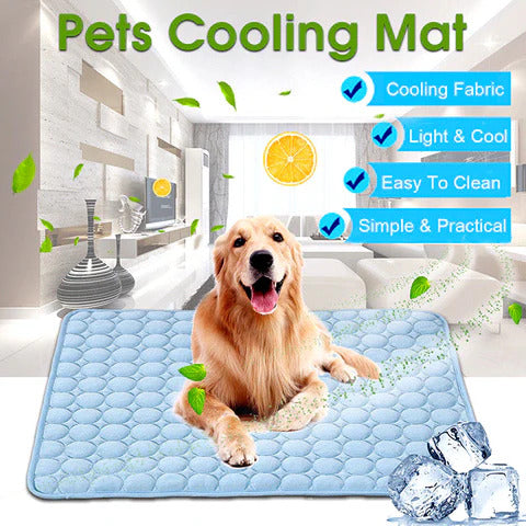 Pet Summer Cat And Dog Sofa Mat