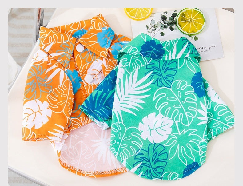 Pet Beach Wear