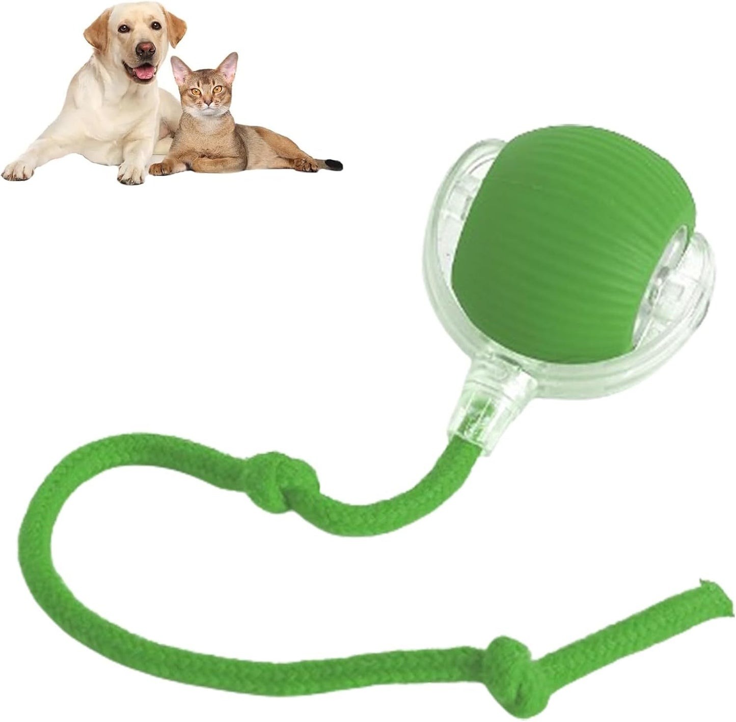 Interactive Rolling Pet Ball