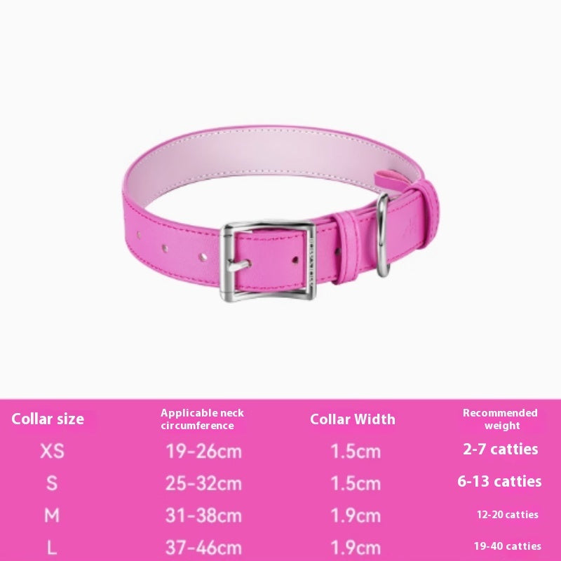 Buy colorful leather pet collar