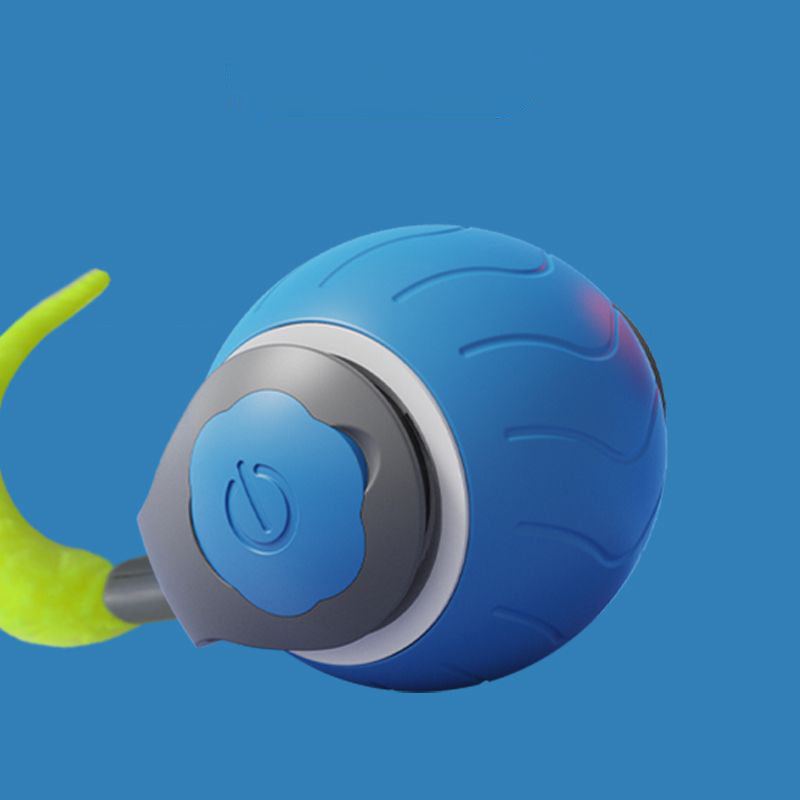 Speedy Tail Pet Toy