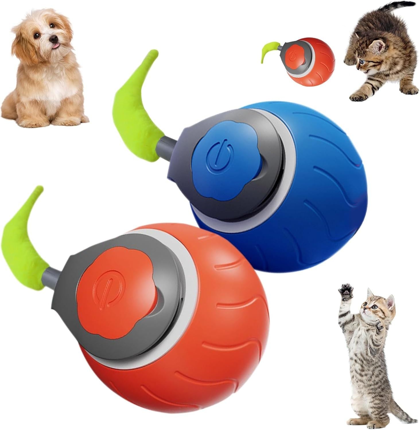 Speedy Tail Pet Toy