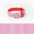 Buy colorful leather pet collar