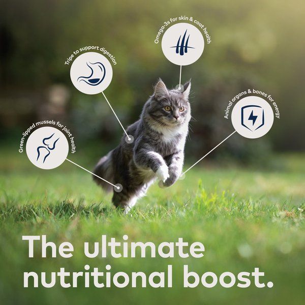 ZIWI Peak Grain Free Air-Dried Free-Range Chicken Dry Cat Food
