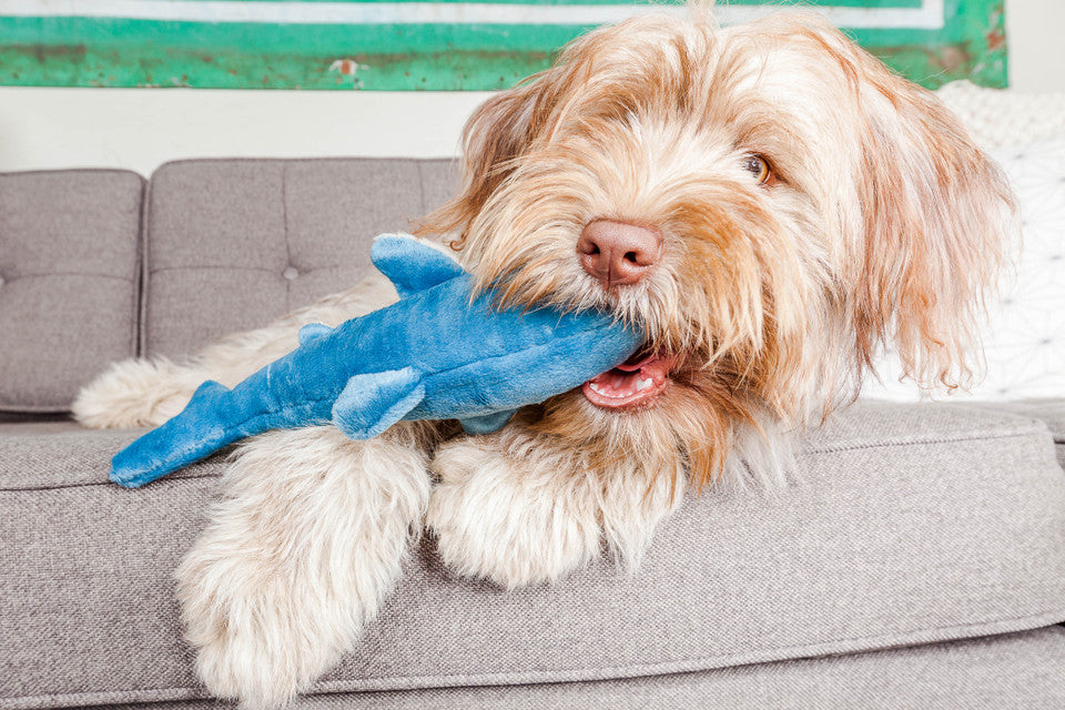 Fluff & Tuff Tank Shark Plush Dog Toy