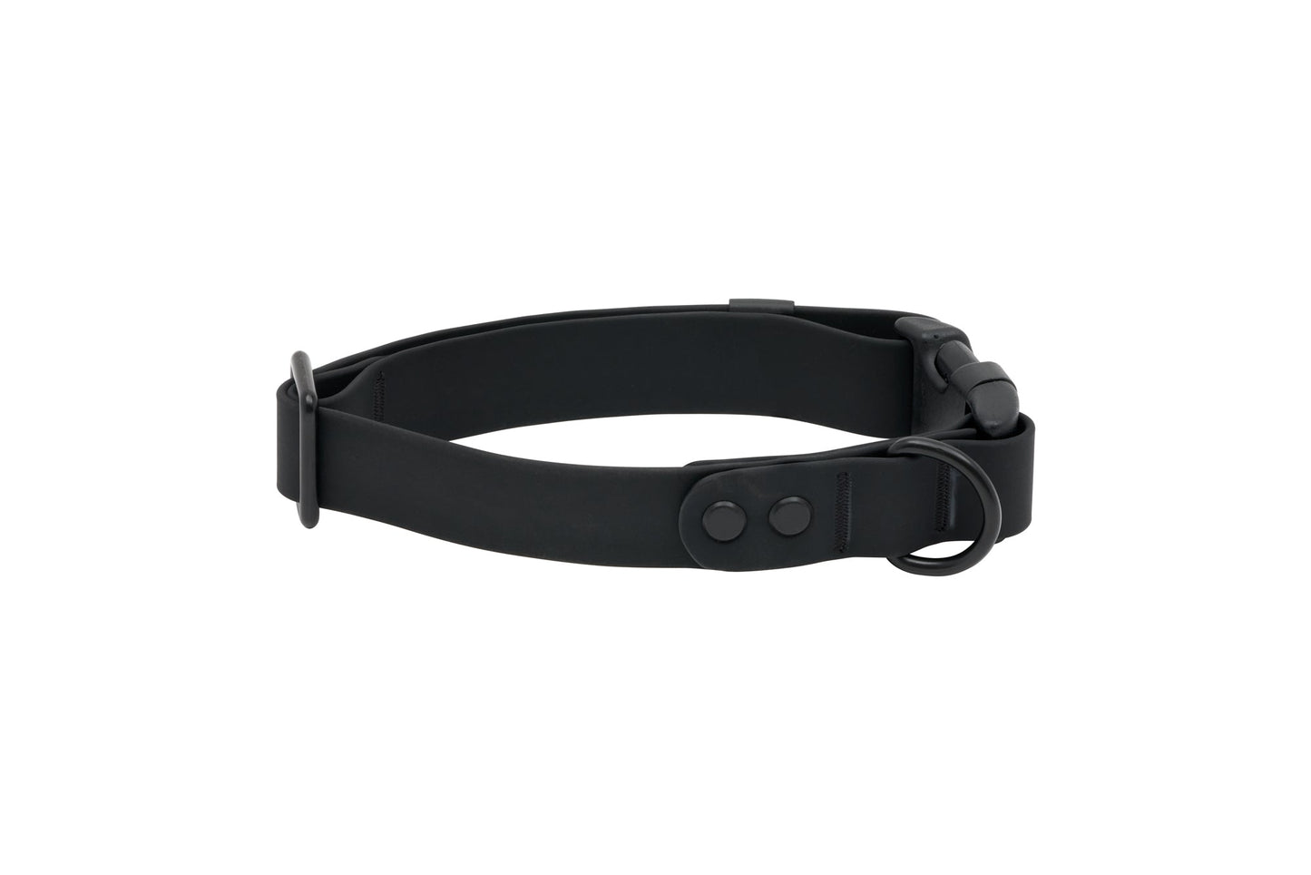 RC Pets Waterproof Collar for Dogs in Black